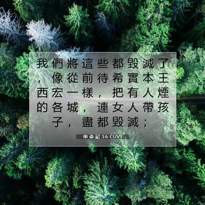Picture 07 - 申 命 記 3:6 CUVT - 我 們 將 這 些 都 毀 滅 了 ， 像 從 - Bible Verse Picture