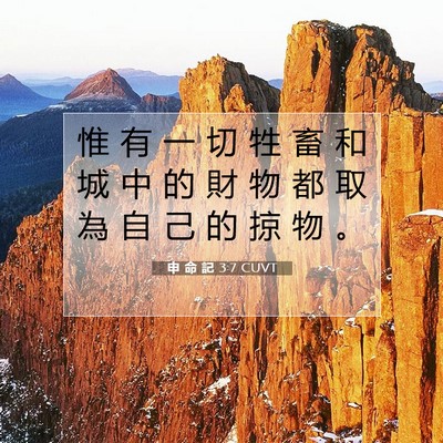 Picture 07 - 申 命 記 3:7 CUVT - 惟 有 一 切 牲 畜 和 城 中 的 財 物 - Bible Verse Picture