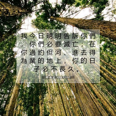 Picture 07 - 申 命 記 30:18 CUVT - 我 今 日 明 明 告 訴 你 們 ， 你 們 - Bible Verse Picture