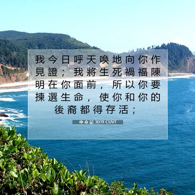 Picture 07 - 申 命 記 30:19 CUVT - 我 今 日 呼 天 喚 地 向 你 作 見 證 - Bible Verse Picture