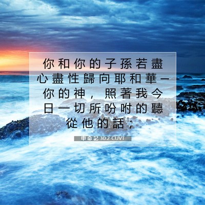 Picture 07 - 申 命 記 30:2 CUVT - 你 和 你 的 子 孫 若 盡 心 盡 性 歸 - Bible Verse Picture
