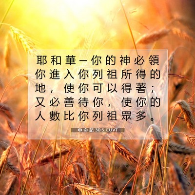Picture 07 - 申 命 記 30:5 CUVT - 耶 和 華 ─ 你 的 神 必 領 你 進 入 - Bible Verse Picture