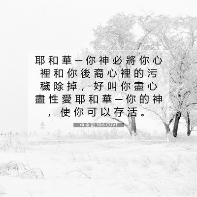 Picture 07 - 申 命 記 30:6 CUVT - 耶 和 華 ─ 你 神 必 將 你 心 裡 和 - Bible Verse Picture