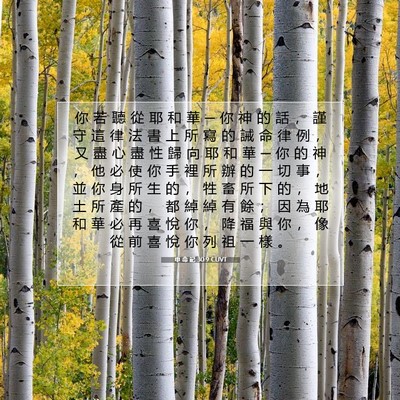 Picture 07 - 申 命 記 30:9 CUVT - 你 若 聽 從 耶 和 華 ─ 你 神 的 話 - Bible Verse Picture