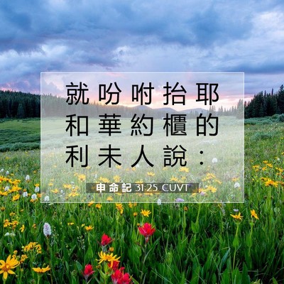 Picture 07 - 申 命 記 31:25 CUVT - 就 吩 咐 抬 耶 和 華 約 櫃 的 利 未 - Bible Verse Picture