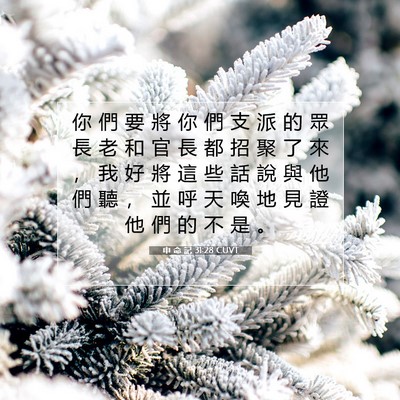 Picture 07 - 申 命 記 31:28 CUVT - 你 們 要 將 你 們 支 派 的 眾 長 老 - Bible Verse Picture