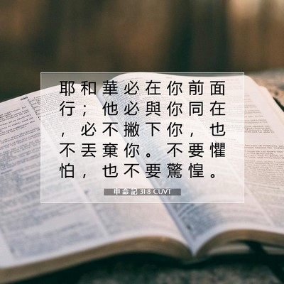 Picture 07 - 申 命 記 31:8 CUVT - 耶 和 華 必 在 你 前 面 行 ； 他 必 - Bible Verse Picture