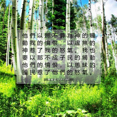 Picture 07 - 申 命 記 32:21 CUVT - 他 們 以 那 不 算 為 神 的 觸 動 我 - Bible Verse Picture