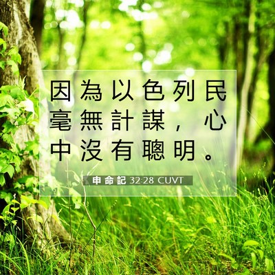 Picture 07 - 申 命 記 32:28 CUVT - 因 為 以 色 列 民 毫 無 計 謀 ， 心 - Bible Verse Picture