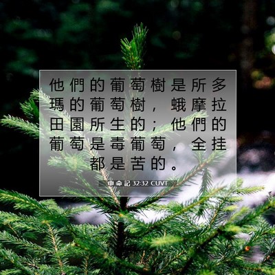 Picture 07 - 申 命 記 32:32 CUVT - 他 們 的 葡 萄 樹 是 所 多 瑪 的 葡 - Bible Verse Picture