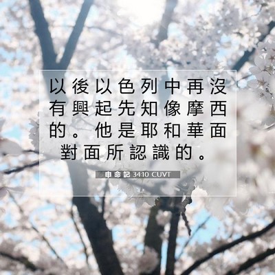 Picture 07 - 申 命 記 34:10 CUVT - 以 後 以 色 列 中 再 沒 有 興 起 先 - Bible Verse Picture