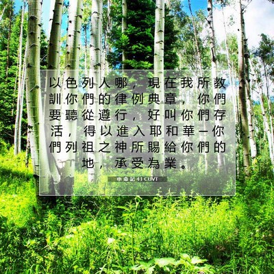 Picture 07 - 申 命 記 4:1 CUVT - 以 色 列 人 哪 ， 現 在 我 所 教 訓 - Bible Verse Picture