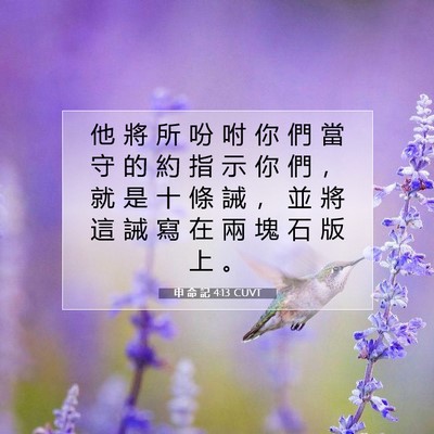 Picture 07 - 申 命 記 4:13 CUVT - 他 將 所 吩 咐 你 們 當 守 的 約 指 - Bible Verse Picture