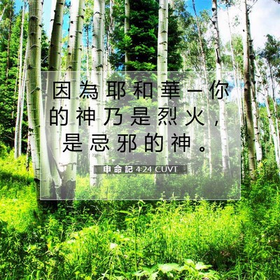 Picture 07 - 申 命 記 4:24 CUVT - 因 為 耶 和 華 ─ 你 的 神 乃 是 烈 - Bible Verse Picture