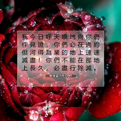 Picture 07 - 申 命 記 4:26 CUVT - 我 今 日 呼 天 喚 地 向 你 們 作 見 - Bible Verse Picture