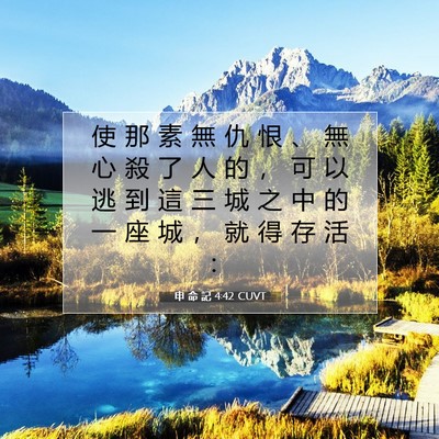 Picture 07 - 申 命 記 4:42 CUVT - 使 那 素 無 仇 恨 、 無 心 殺 了 人 - Bible Verse Picture