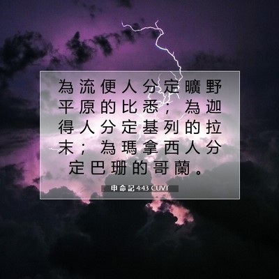 Picture 07 - 申 命 記 4:43 CUVT - 為 流 便 人 分 定 曠 野 平 原 的 比 - Bible Verse Picture