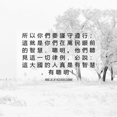 Picture 07 - 申 命 記 4:6 CUVT - 所 以 你 們 要 謹 守 遵 行 ； 這 就 - Bible Verse Picture