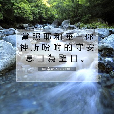 Picture 07 - 申 命 記 5:12 CUVT - 當 照 耶 和 華 ─ 你 神 所 吩 咐 的 - Bible Verse Picture