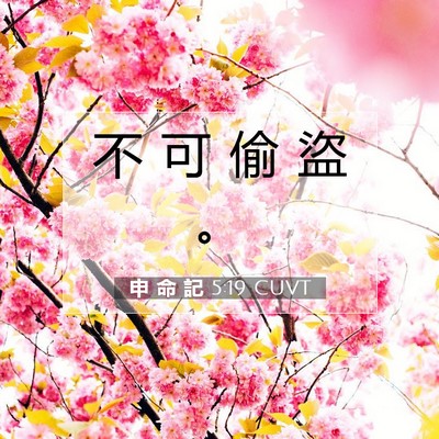 Picture 07 - 申 命 記 5:19 CUVT - 不 可 偷 盜 - Bible Verse Picture