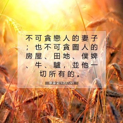 Picture 07 - 申 命 記 5:21 CUVT - 不 可 貪 戀 人 的 妻 子 ； 也 不 可 - Bible Verse Picture