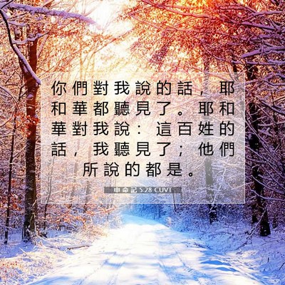 Picture 07 - 申 命 記 5:28 CUVT - 你 們 對 我 說 的 話 ， 耶 和 華 都 - Bible Verse Picture