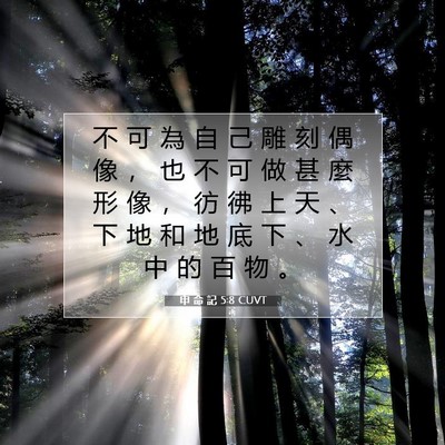 Picture 07 - 申 命 記 5:8 CUVT - 不 可 為 自 己 雕 刻 偶 像 ， 也 不 - Bible Verse Picture
