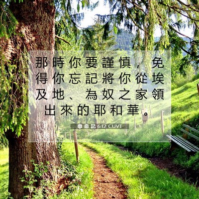 Picture 07 - 申 命 記 6:12 CUVT - 那 時 你 要 謹 慎 ， 免 得 你 忘 記 - Bible Verse Picture