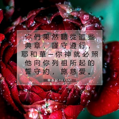 Picture 07 - 申 命 記 7:12 CUVT - 你 們 果 然 聽 從 這 些 典 章 ， 謹 - Bible Verse Picture