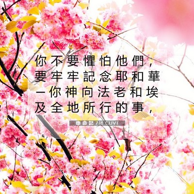 Picture 07 - 申 命 記 7:18 CUVT - 你 不 要 懼 怕 他 們 ， 要 牢 牢 記 - Bible Verse Picture