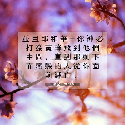 Picture 07 - 申 命 記 7:20 CUVT - 並 且 耶 和 華 ─ 你 神 必 打 發 黃 - Bible Verse Picture