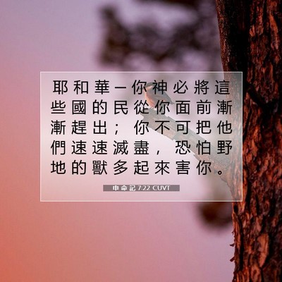 Picture 07 - 申 命 記 7:22 CUVT - 耶 和 華 ─ 你 神 必 將 這 些 國 的 - Bible Verse Picture