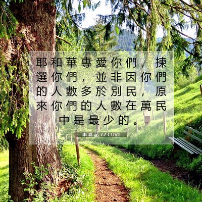 Picture 07 - 申 命 記 7:7 CUVT - 耶 和 華 專 愛 你 們 ， 揀 選 你 們 - Bible Verse Picture