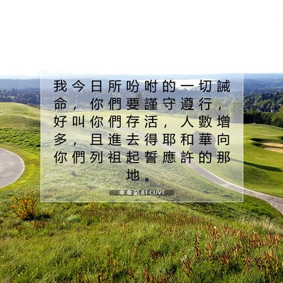 Picture 07 - 申 命 記 8:1 CUVT - 我 今 日 所 吩 咐 的 一 切 誡 命 ， - Bible Verse Picture