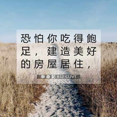 Picture 07 - 申 命 記 8:12 CUVT - 恐 怕 你 吃 得 飽 足 ， 建 造 美 好 - Bible Verse Picture