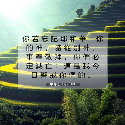 Picture 07 - 申 命 記 8:19 CUVT - 你 若 忘 記 耶 和 華 ─ 你 的 神 ， - Bible Verse Picture