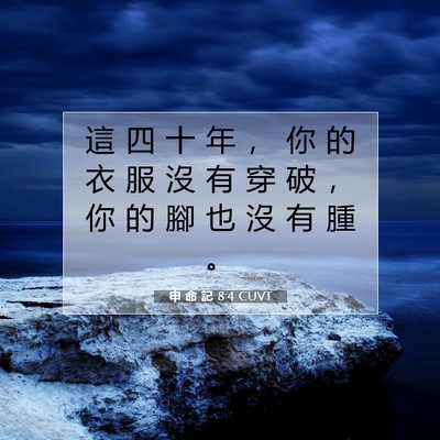 Picture 07 - 申 命 記 8:4 CUVT - 這 四 十 年 ， 你 的 衣 服 沒 有 穿 - Bible Verse Picture