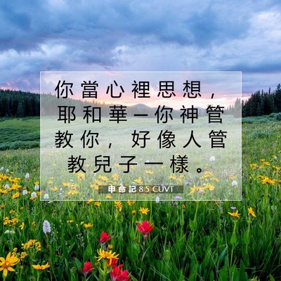 Picture 07 - 申 命 記 8:5 CUVT - 你 當 心 裡 思 想 ， 耶 和 華 ─ 你 - Bible Verse Picture