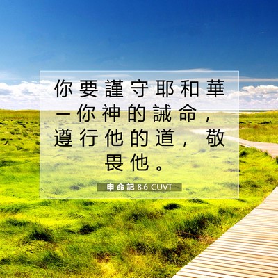 Picture 07 - 申 命 記 8:6 CUVT - 你 要 謹 守 耶 和 華 ─ 你 神 的 誡 - Bible Verse Picture