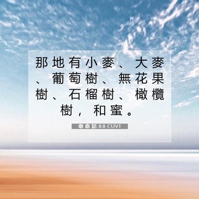 Picture 07 - 申 命 記 8:8 CUVT - 那 地 有 小 麥 、 大 麥 、 葡 萄 樹 - Bible Verse Picture