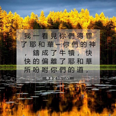 Picture 07 - 申 命 記 9:16 CUVT - 我 一 看 見 你 們 得 罪 了 耶 和 華 - Bible Verse Picture