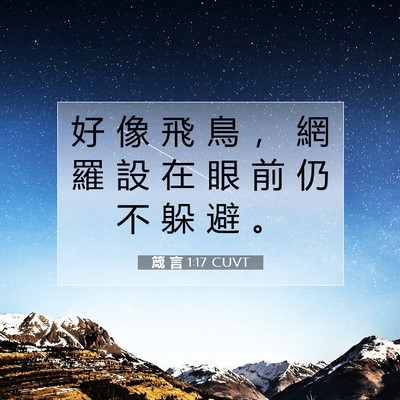 Picture 07 - 箴 言 1:17 CUVT - 好 像 飛 鳥 ， 網 羅 設 在 眼 前 仍 - Bible Verse Picture