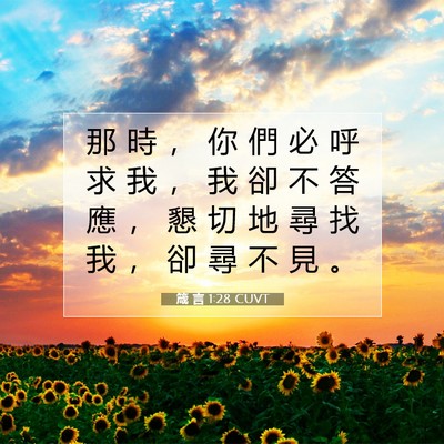 Picture 07 - 箴 言 1:28 CUVT - 那 時 ， 你 們 必 呼 求 我 ， 我 卻 - Bible Verse Picture
