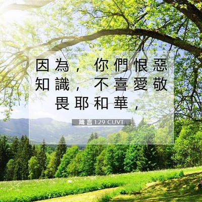 Picture 07 - 箴 言 1:29 CUVT - 因 為 ， 你 們 恨 惡 知 識 ， 不 喜 - Bible Verse Picture