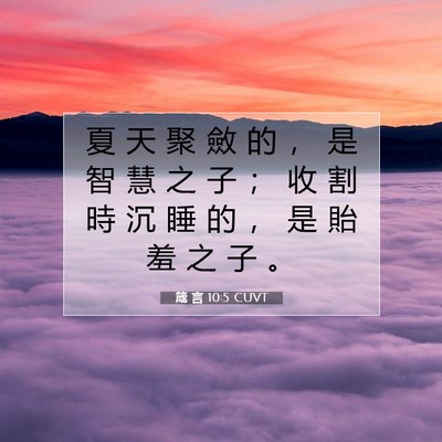 Picture 07 - 箴 言 10:5 CUVT - 夏 天 聚 斂 的 ， 是 智 慧 之 子 ； - Bible Verse Picture