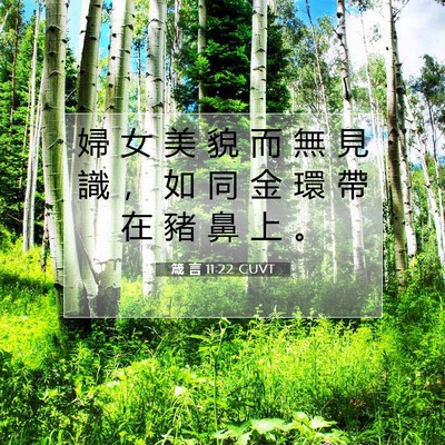 Picture 07 - 箴 言 11:22 CUVT - 婦 女 美 貌 而 無 見 識 ， 如 同 金 - Bible Verse Picture