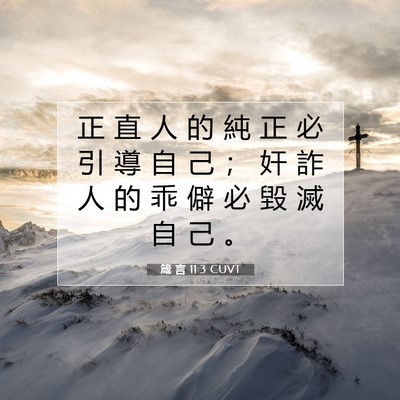 Picture 07 - 箴 言 11:3 CUVT - 正 直 人 的 純 正 必 引 導 自 己 ； - Bible Verse Picture
