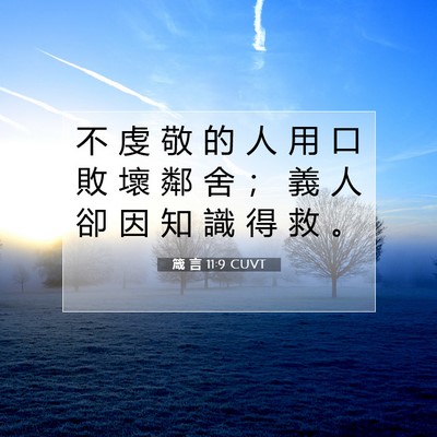 Picture 07 - 箴 言 11:9 CUVT - 不 虔 敬 的 人 用 口 敗 壞 鄰 舍 ； - Bible Verse Picture