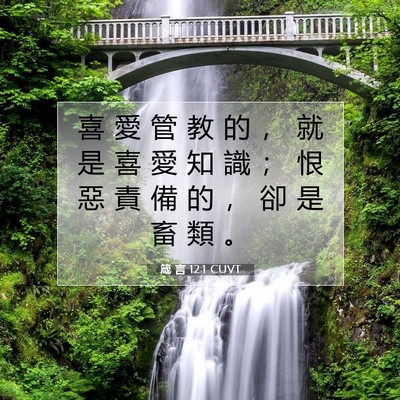 Picture 07 - 箴 言 12:1 CUVT - 喜 愛 管 教 的 ， 就 是 喜 愛 知 識 - Bible Verse Picture