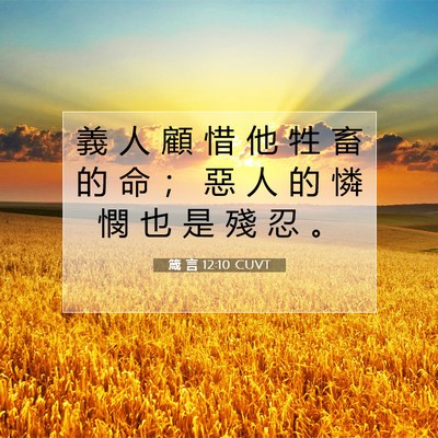 Picture 07 - 箴 言 12:10 CUVT - 義 人 顧 惜 他 牲 畜 的 命 ； 惡 人 - Bible Verse Picture